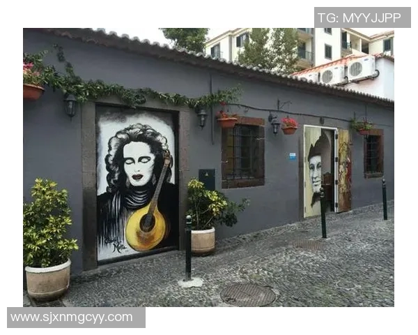 足球明星马德拉岛的传奇故事与足球梦想的交汇之旅