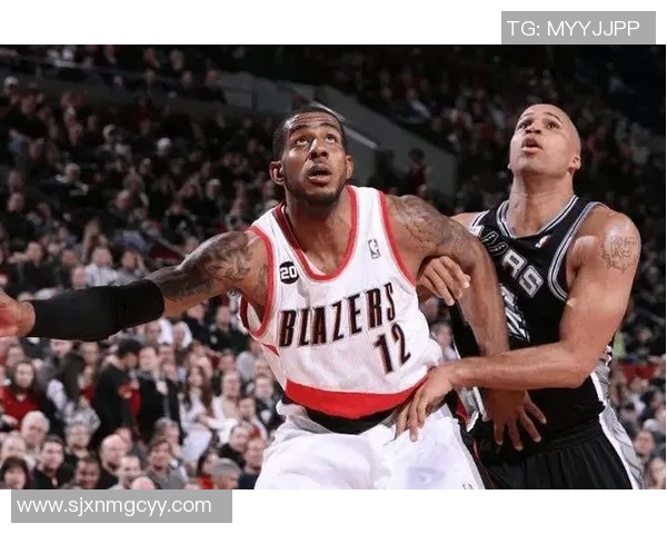 2017年希拉尔与赖扬的精彩对决回顾与分析