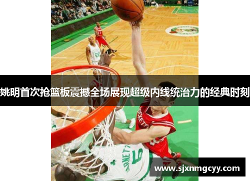 姚明首次抢篮板震撼全场展现超级内线统治力的经典时刻