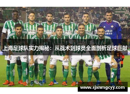 上海足球队实力揭秘：从战术到球员全面剖析足球巨献