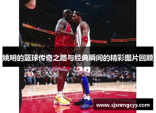 姚明的篮球传奇之路与经典瞬间的精彩图片回顾