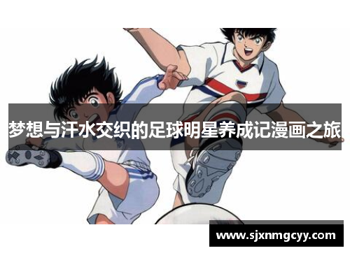 梦想与汗水交织的足球明星养成记漫画之旅