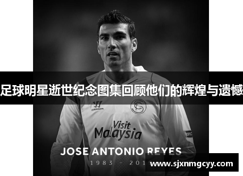 足球明星逝世纪念图集回顾他们的辉煌与遗憾