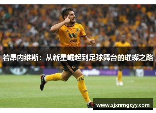 若昂内维斯：从新星崛起到足球舞台的璀璨之路