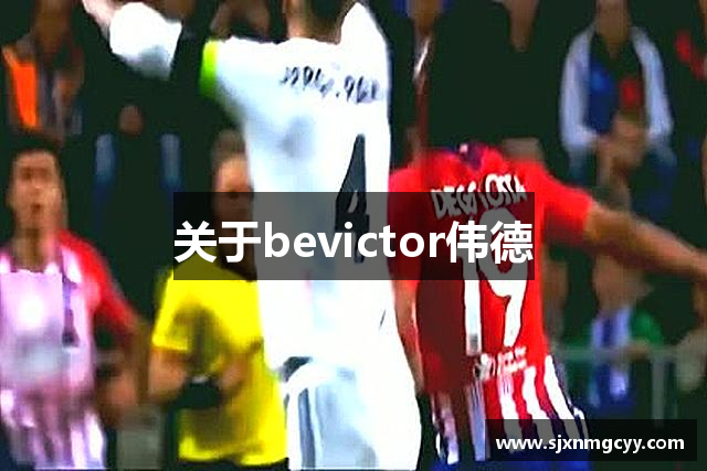关于bevictor伟德